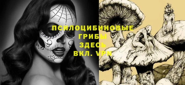 дурь Гусиноозёрск