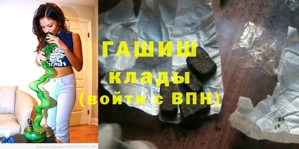 apvp Гусев