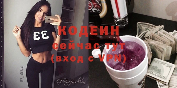 apvp Гусев