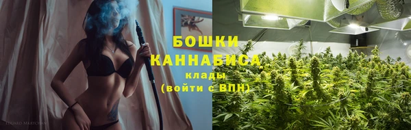 apvp Гусев