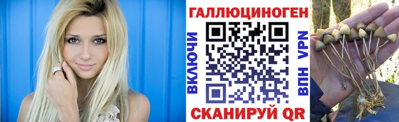 Галлюциногенные грибы MAGIC MUSHROOMS  закладка  hydra онион  Магнитогорск 